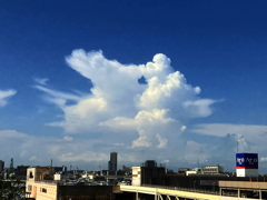夏雲