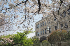 街角の春