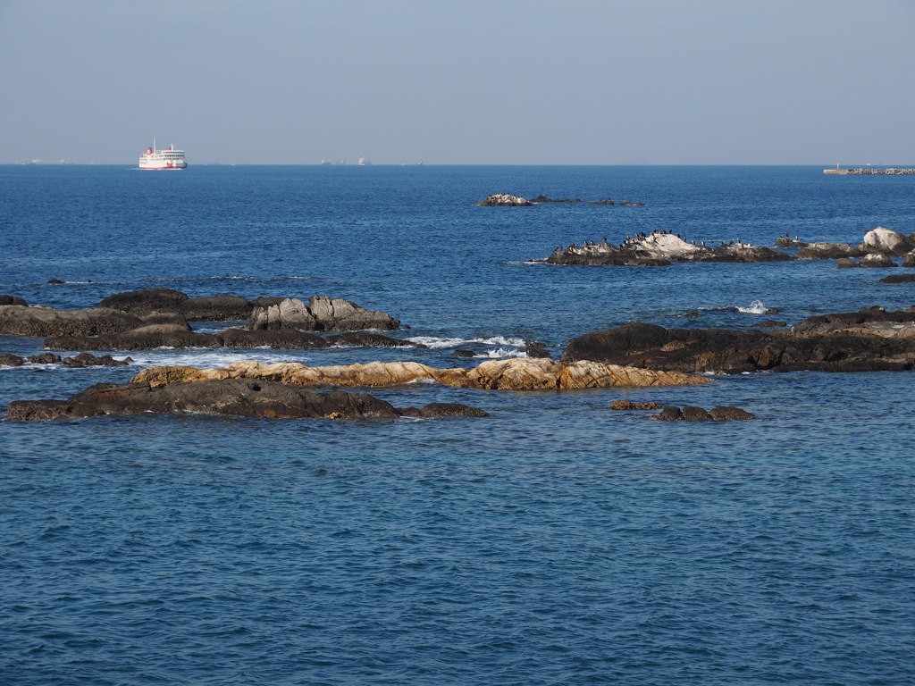 何となく、海が見たくて。