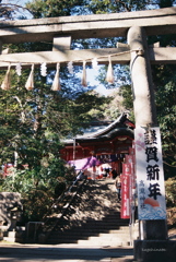 お正月を写そう（フィルム）