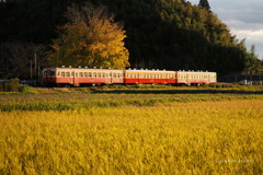 黄昏列車