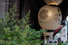 踊る提灯