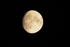 十三月夜