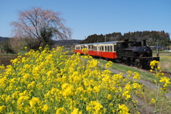 里山トロッコ始動