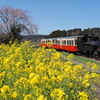 里山トロッコ始動