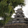 城と柳