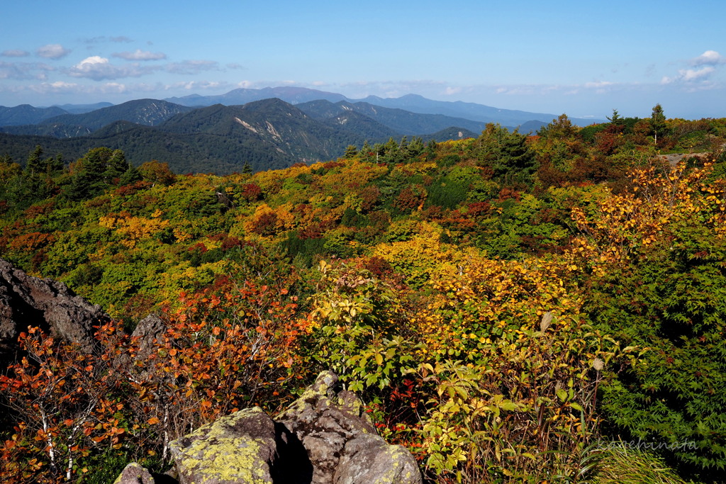 秋は山から