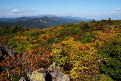 秋は山から