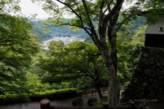 城下の眺め