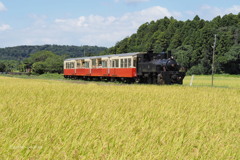 実りの季節