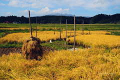 杭掛けと栗駒山