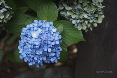 梅雨の終わり