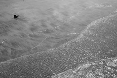 slow wave