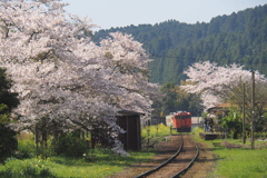 春色の駅