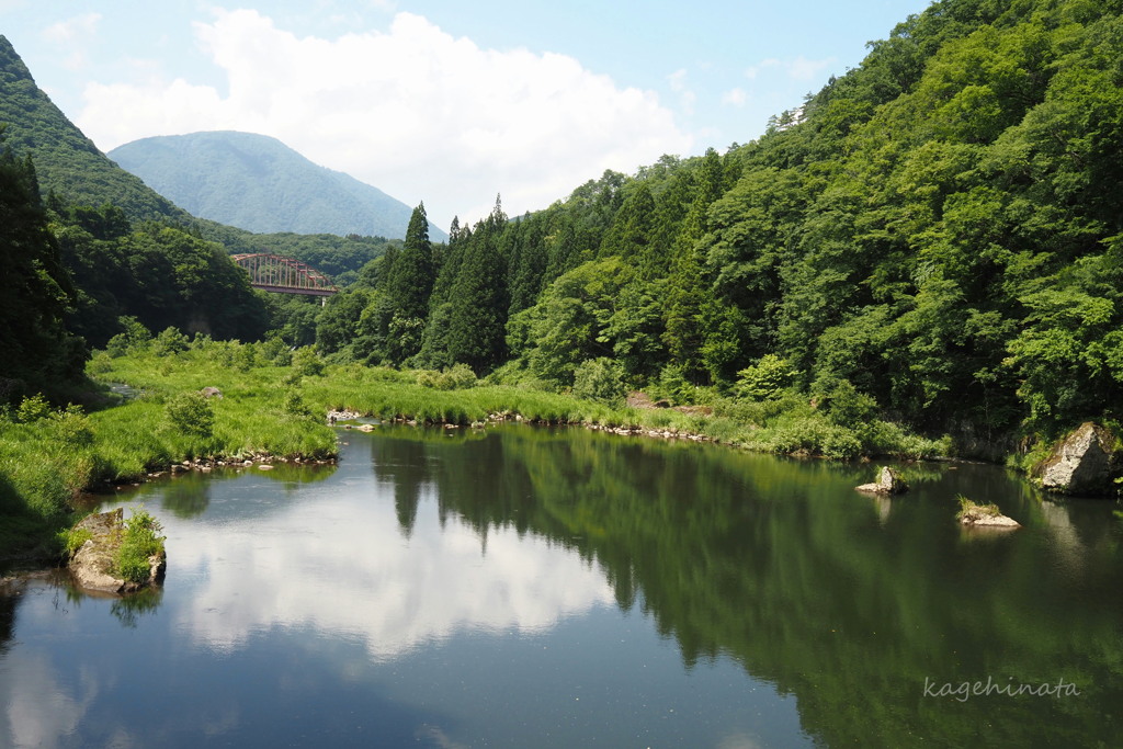 夏模様