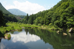 夏模様