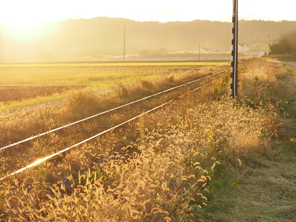夕映え
