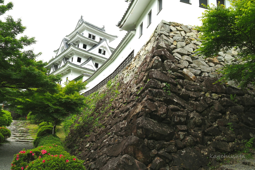 郡上の城