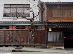 街中スナップ