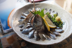 いわし刺身