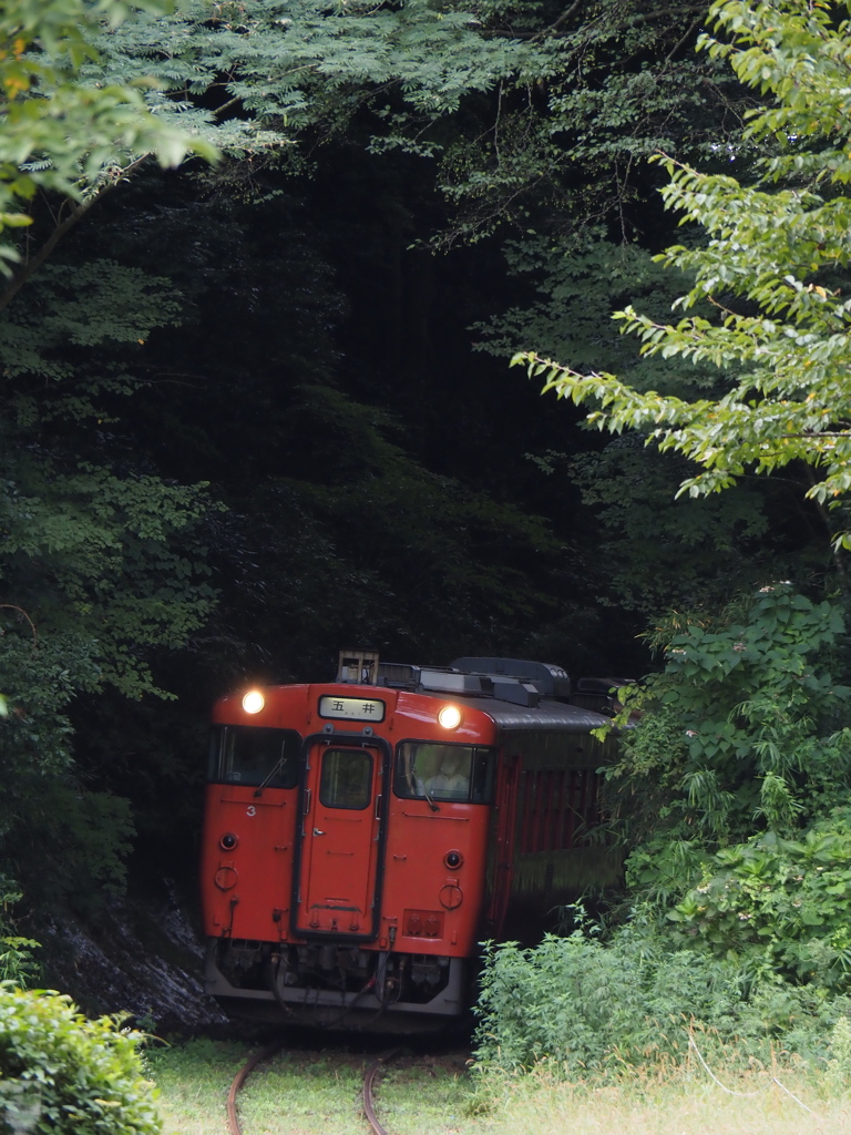 小湊鉄道キハ40