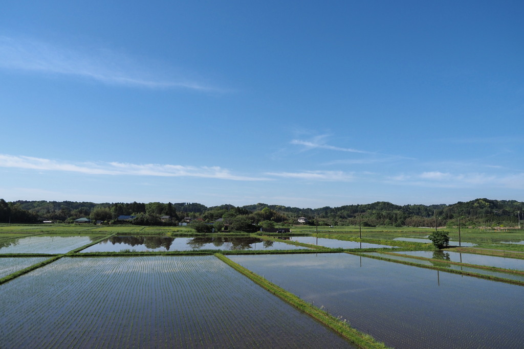 空と水のあいだ