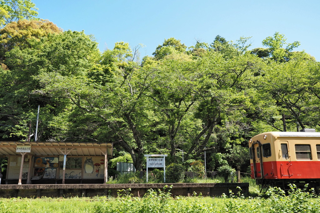 新緑の駅