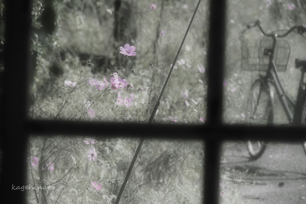silent autumn