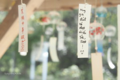 I hope you…