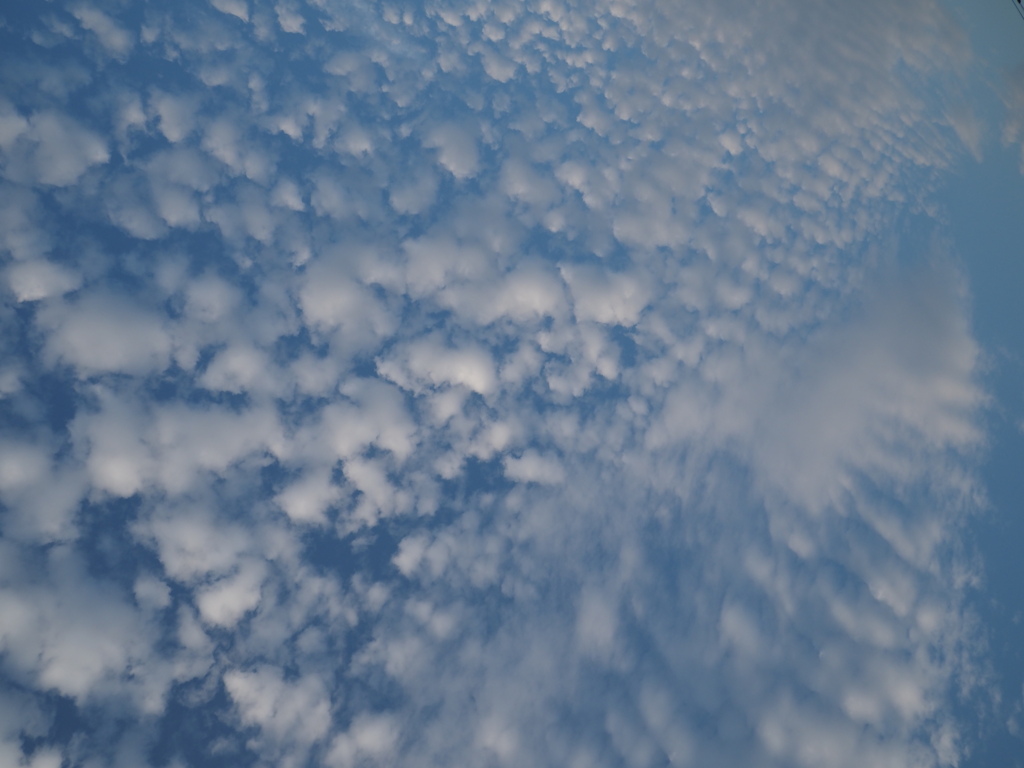 ウロコ雲？イワシ雲？