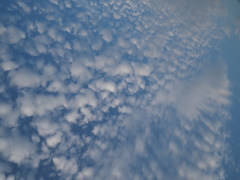 ウロコ雲？イワシ雲？