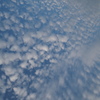 ウロコ雲？イワシ雲？