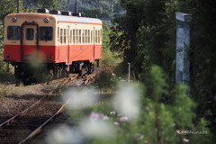 local train
