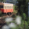 local train