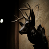 Deer head wall hanging