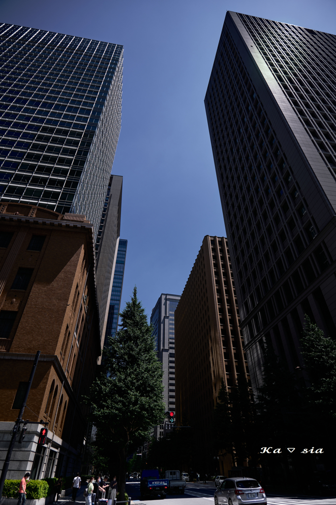 valley of skyscrapers（東京駅丸の内北口付近）