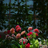 art flower