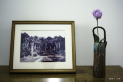 Lisianthus