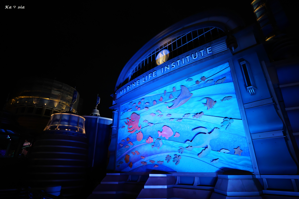 Marine Life Institute