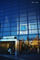 Reflection (Ginkgo)