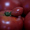 small tomatoes