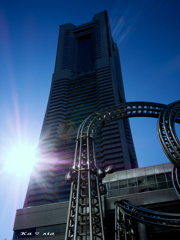 眩しい冬の日差し