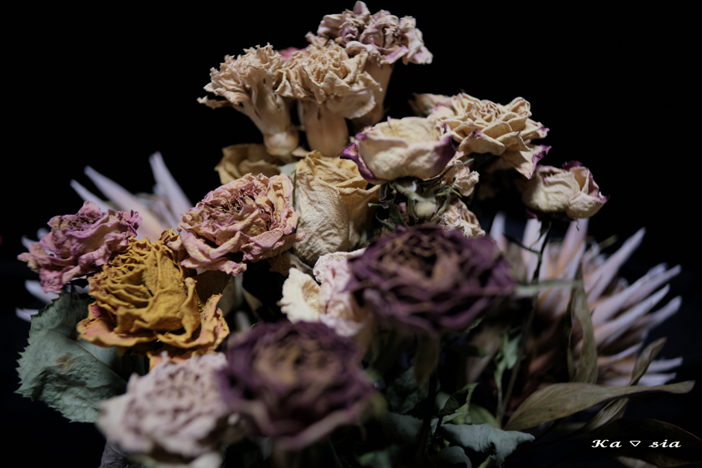dried flowers