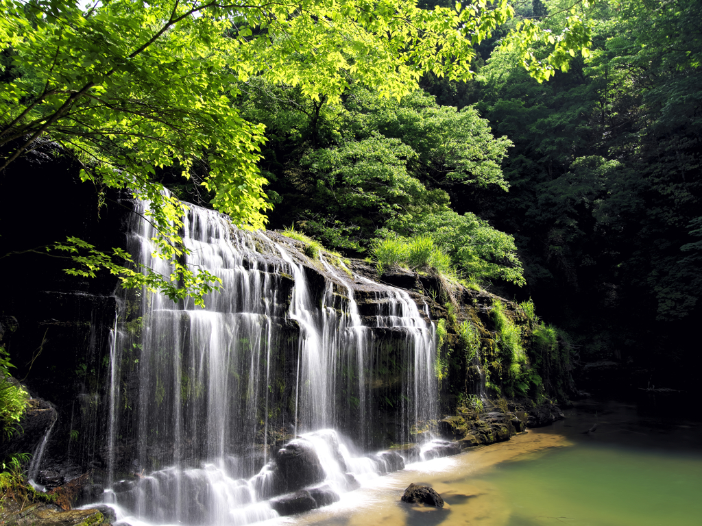 初夏の日差しを受けて