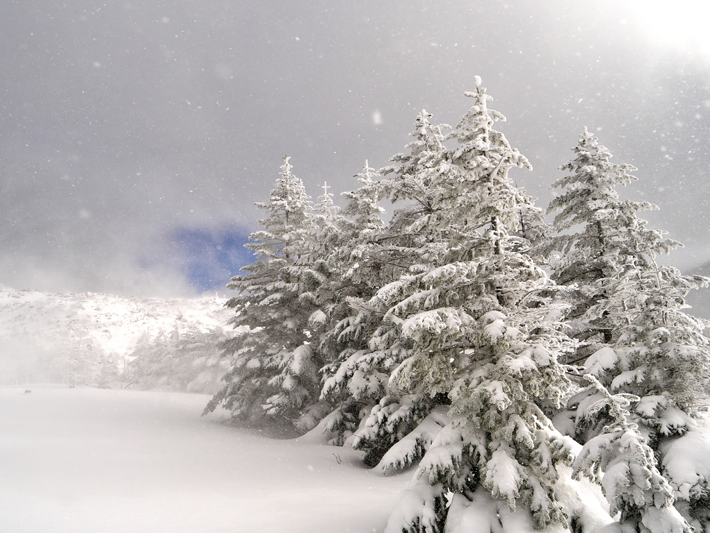 Blizzard