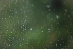 雨音