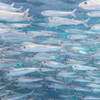 水族館