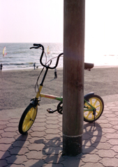 海と自転車