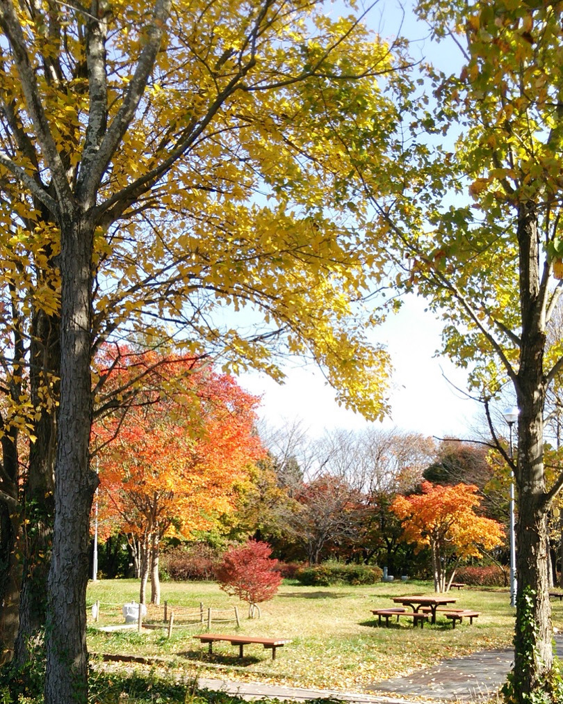 fall is the best season for arts