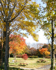 fall is the best season for arts